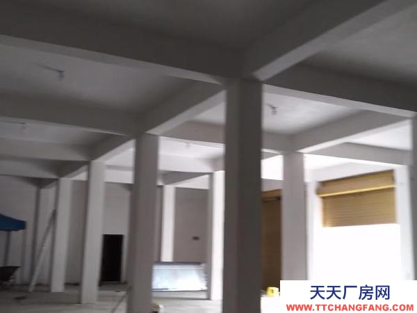 (出租) 適合貨物儲存堆放，加工作坊，