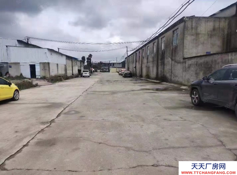 (出租) 白云區(qū)20000平廠房和40畝空壩出租