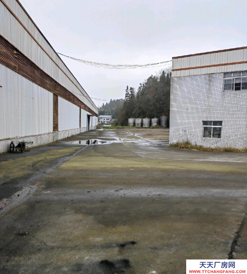 (出租) 廠房位于桐梓縣寬闊鎮(zhèn)鎮(zhèn),標(biāo)準(zhǔn)型酒廠,設(shè)施設(shè)備齊全