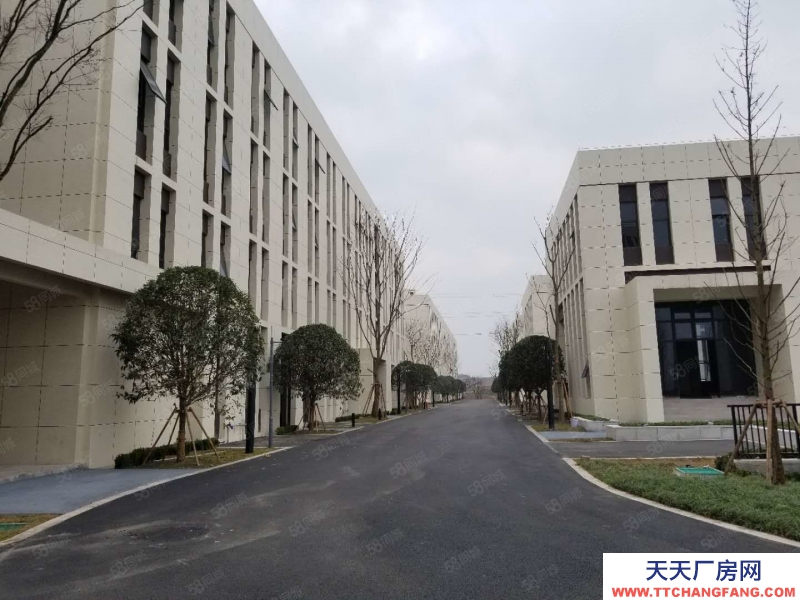 (出租) 高新區(qū)標(biāo)準(zhǔn)框架廠房，超高超長車間布局空間靈活性價(jià)比高