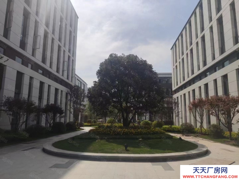 (出租) 南明標準結構廠房 (首層8.1米)小900