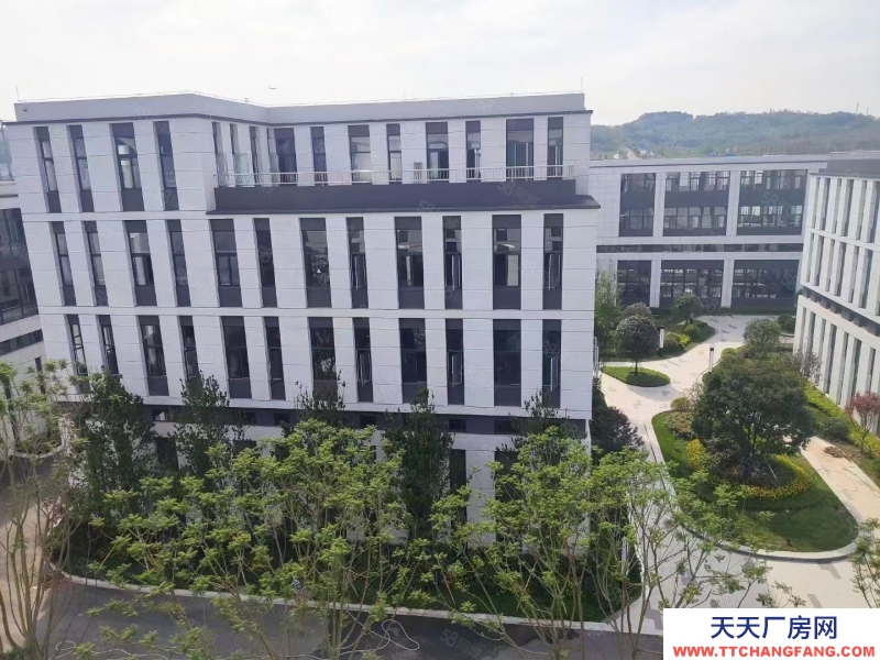 (出租) 南明標準結構廠房 (首層8.1米)小900