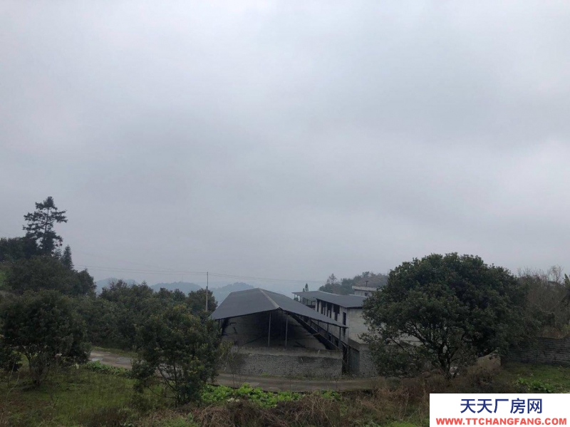 本廠房低價出售，三相電齊全，可用作養(yǎng)殖或加工