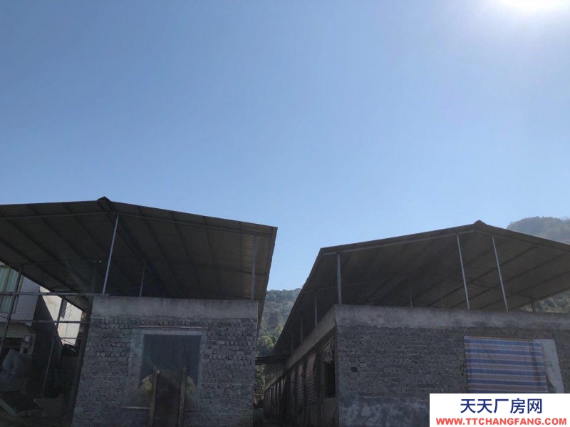 本廠房低價(jià)出售,三相電齊全,可用作養(yǎng)殖或加工