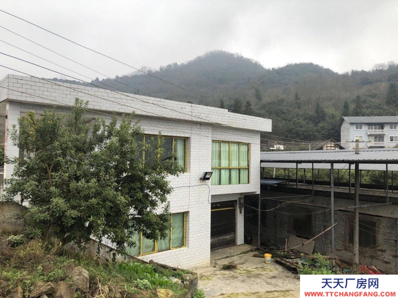 本廠房低價(jià)出售,三相電齊全,可用作養(yǎng)殖或加工