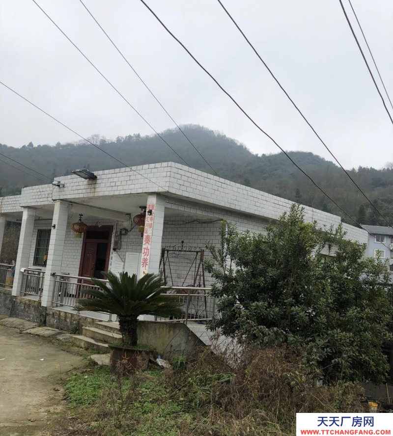 本廠房低價(jià)出售,三相電齊全,可用作養(yǎng)殖或加工