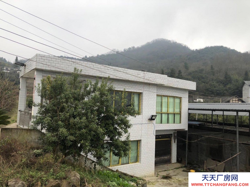 本廠房低價(jià)出售,三相電齊全,可用作養(yǎng)殖或加工