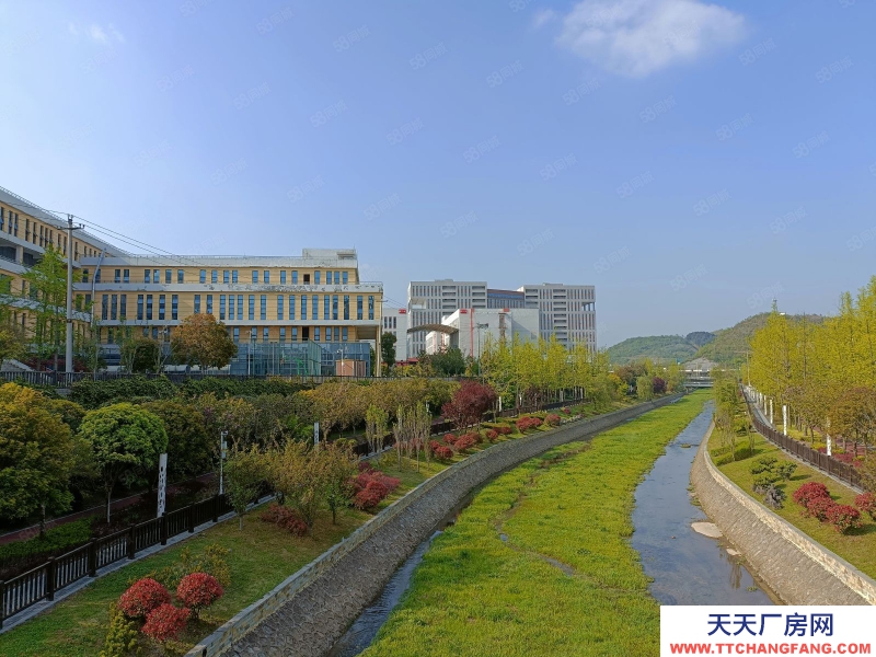 (出售) 可津森陽(yáng)產(chǎn)業(yè)園花園式廠房,專為中小企業(yè)私人訂制,濃濃家的感覺