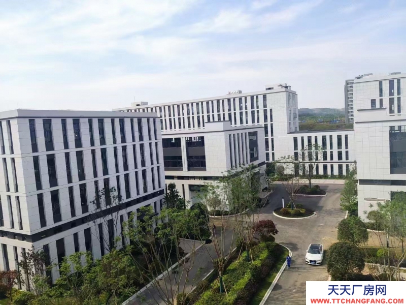 (出售) 南明標準結(jié)構(gòu)廠房 （首層8.1米）面積9004000