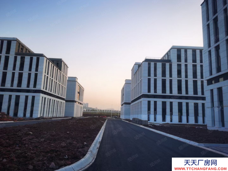 (出售) 南明標準結(jié)構(gòu)廠房 （首層8.1米）面積9004000