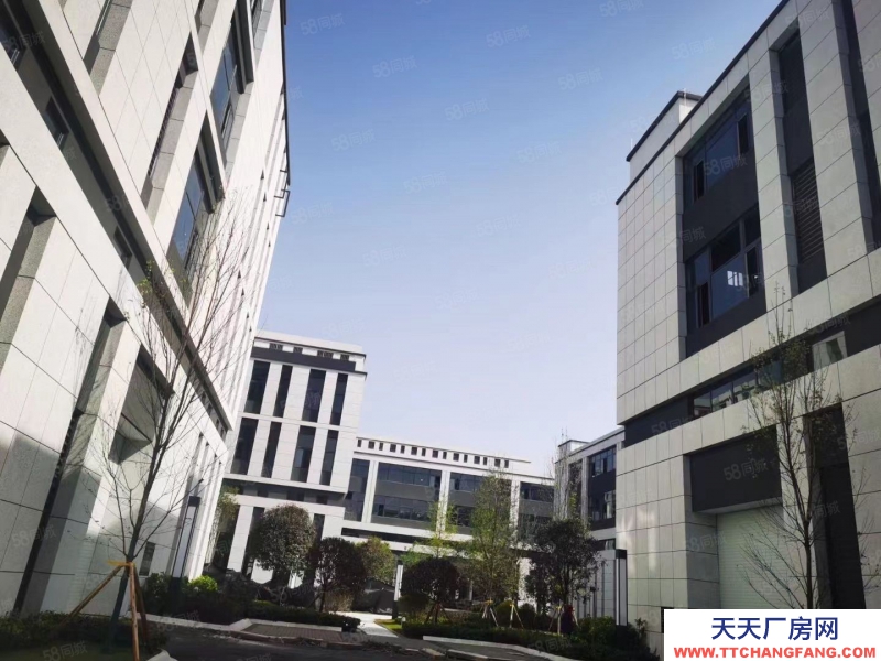 (出售) 南明標準結(jié)構(gòu)廠房 （首層8.1米）面積9004000