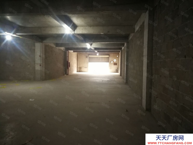 (出租) 數博大道旁金伍路65號一樓540平,420平.370平招租