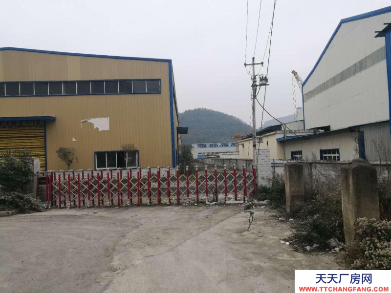 (出租) 和平大道850平方鋼架結(jié)構(gòu)倉庫