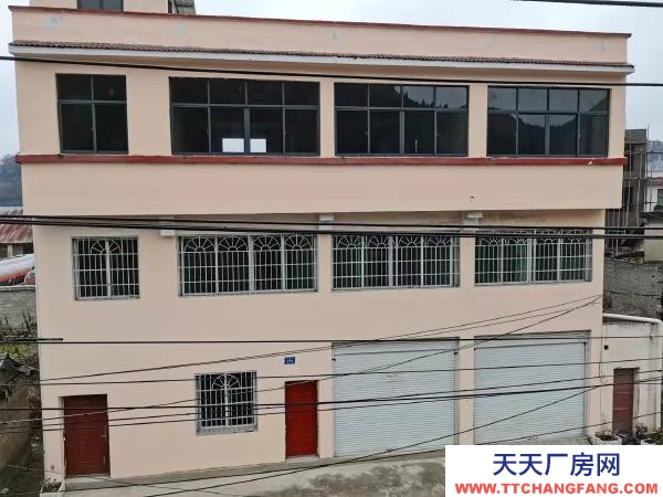 (出租) 出租三層整體招租