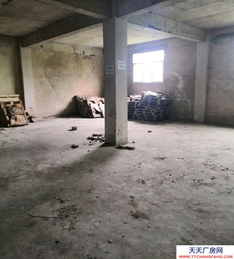 (出租) 金關鋼材市場附近庫房出租