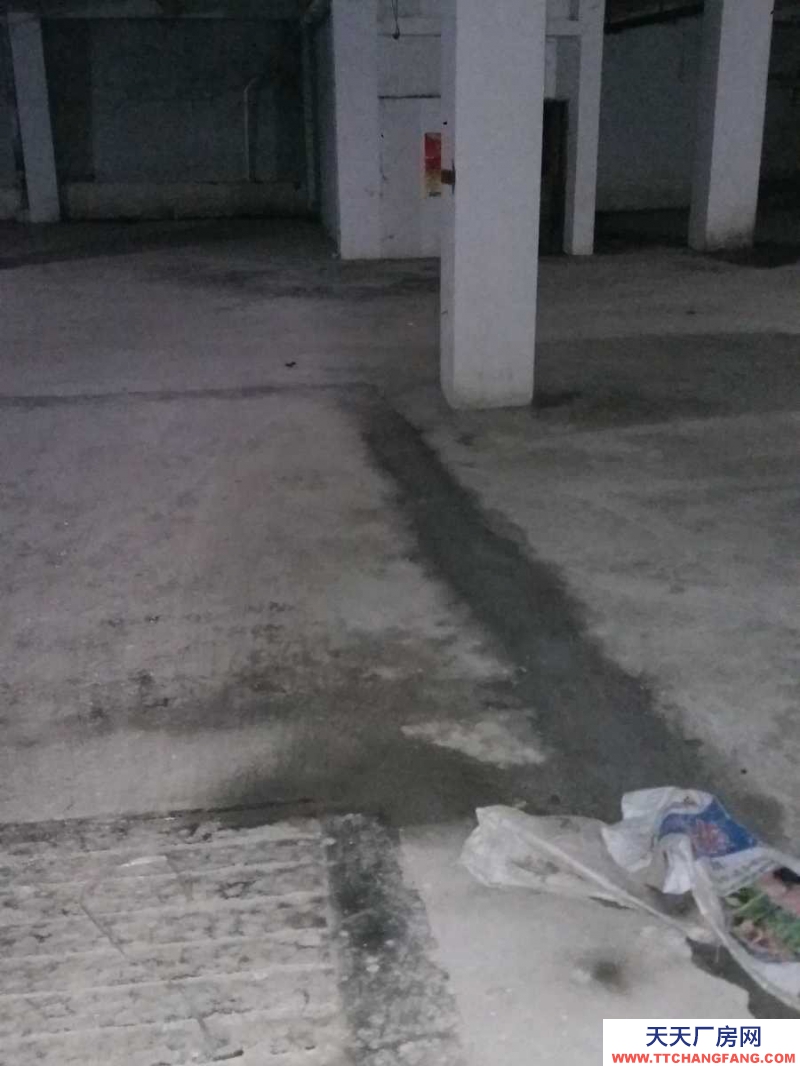 出租匯川大連路長大立交橋旁地下室