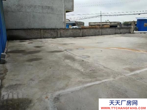 (出租) 縣道旁邊,比鄰高速,交通便利,水電齊全