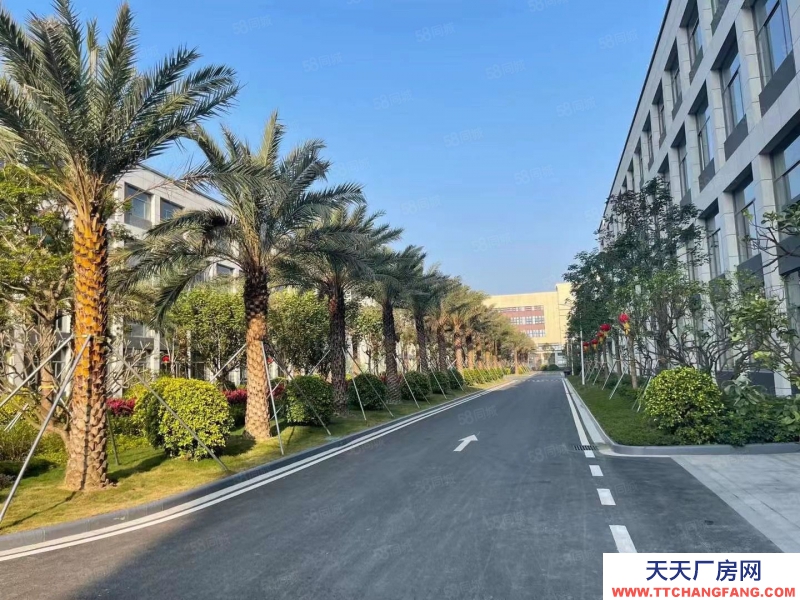 (出售) 修文（首層8.1米）標準結構廠房出售 有產權