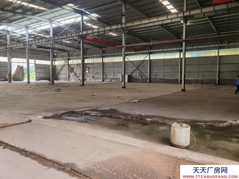 (出租) 赤水下高速路口，之前是造紙廠