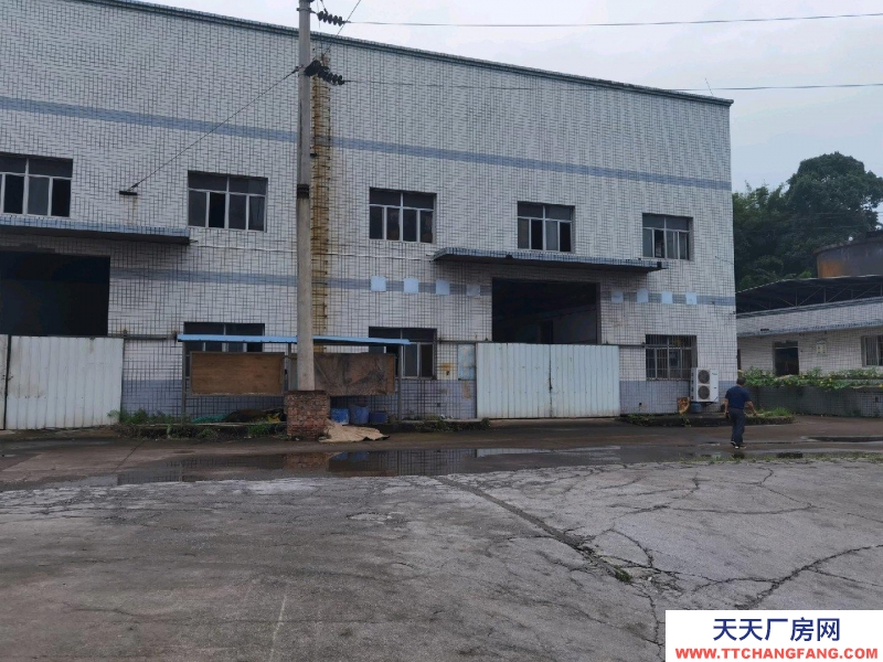 (出租) 赤水下高速路口，之前是造紙廠