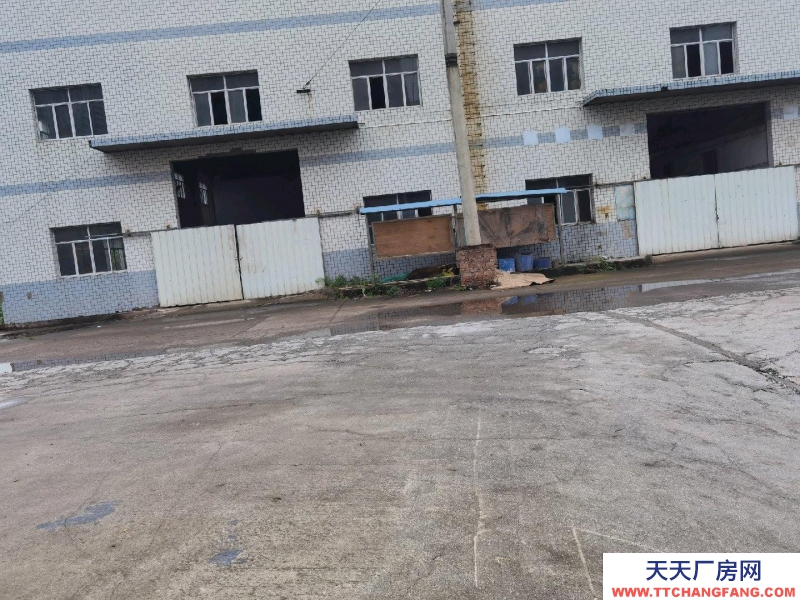 (出租) 赤水下高速路口，之前是造紙廠