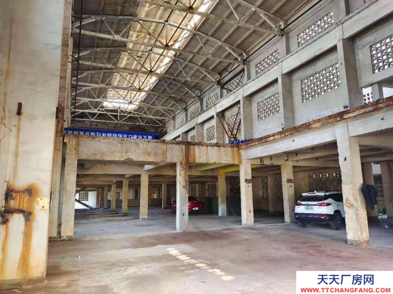 (出租) 出租國際商貿(mào)城后的 倉庫、冷庫，大小倉庫都有。