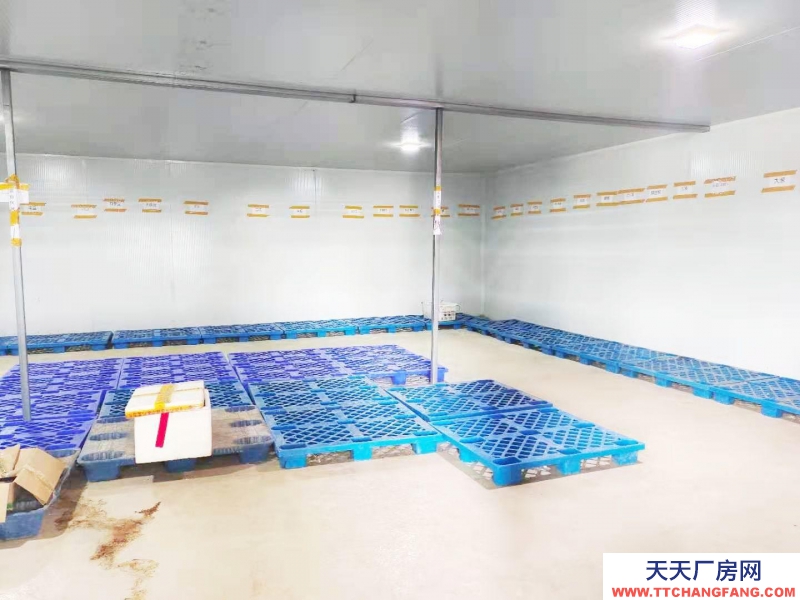 (出租) 出租國際商貿城后的 倉庫、冷庫,大小倉庫都有。