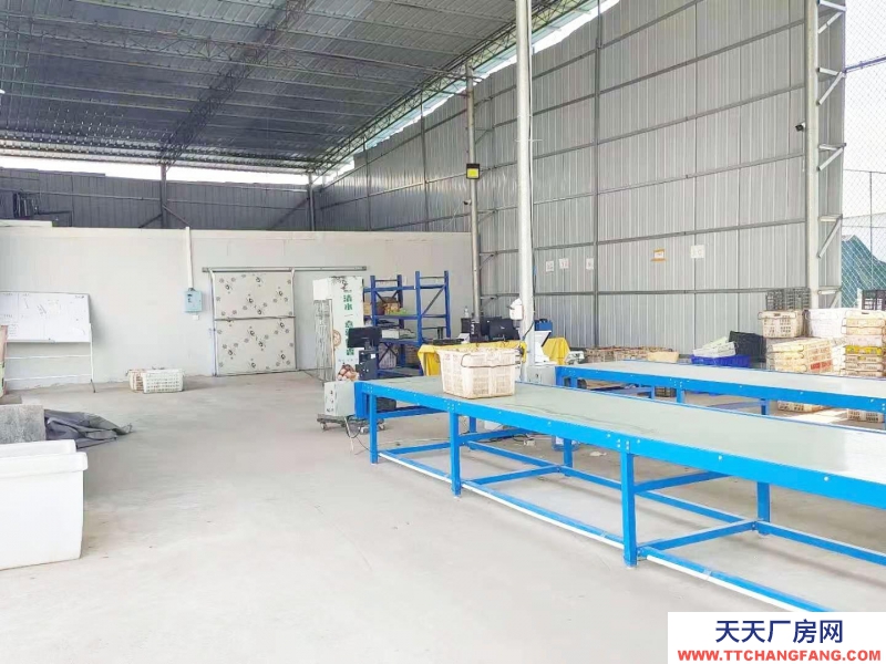 (出租) 出租國際商貿城后的 倉庫、冷庫,大小倉庫都有。