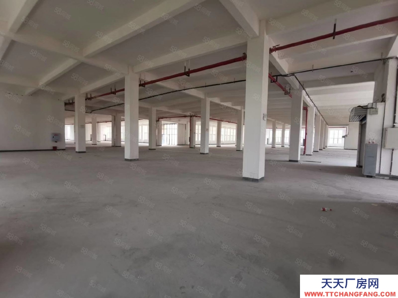 (出租) 高新區標準廠房，生產倉儲辦公功能分區完善，周邊交通配套優