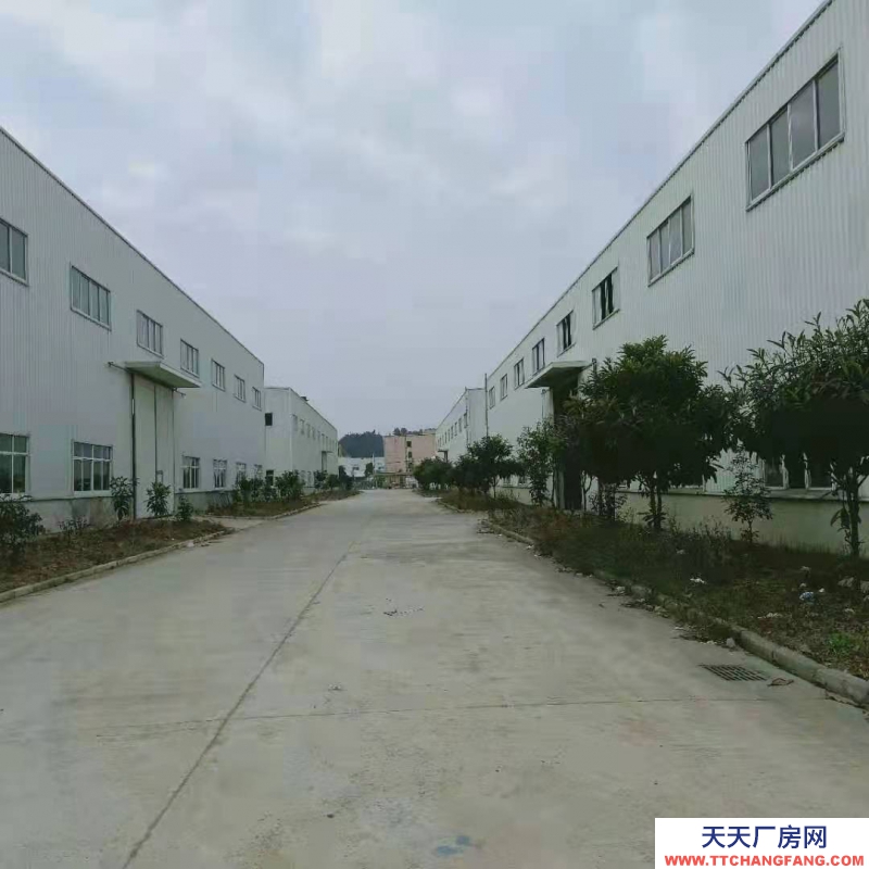 (出租) 廠房出租 地理位置優越