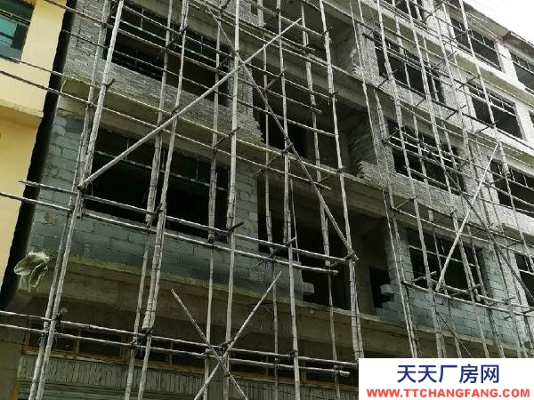 (出售) 斗牛場,市政府規劃主干道上,價格可以小談