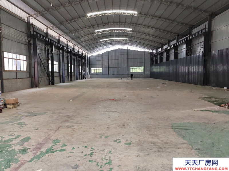 (出租) 興義 龍井廠房 出租 總面積2800平米 可做倉庫，停車場