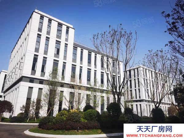 （首層8.1米）標準結構廠房出售 有產權，可首付