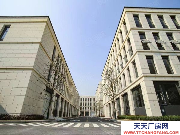 （首層8.1米）標準結構廠房出售 有產權，可首付