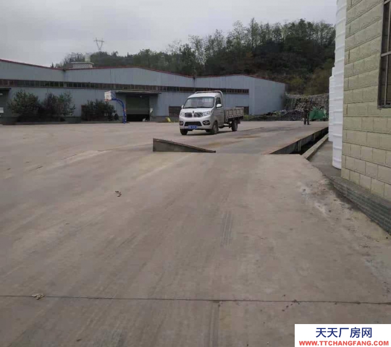 (出租) 鐘山月照廠房可分組價格面談