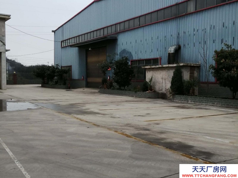 (出租) 鐘山月照廠房可分組價格面談