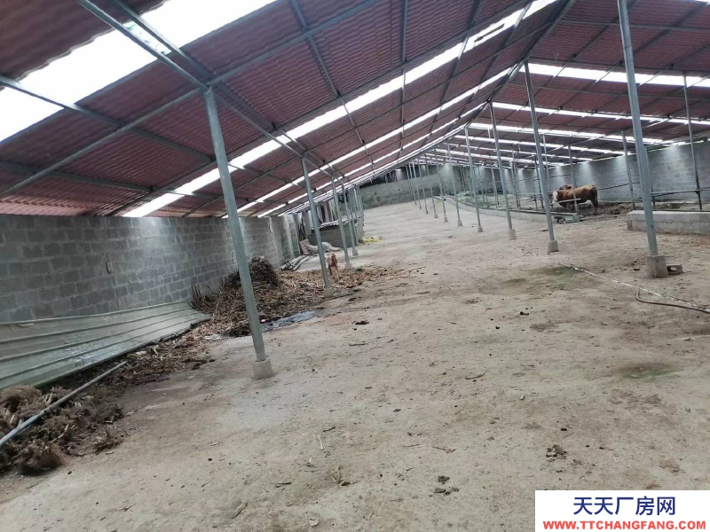 (出租) 有監控設施可議價有房可作為宿舍?？纱螂娫捵h價