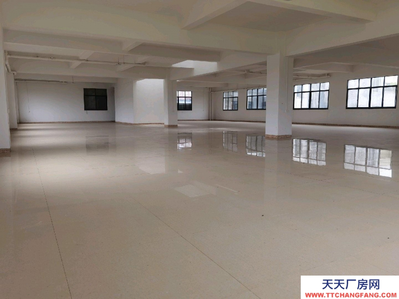 (出租) 一樓600平方，二樓500平方，可分租