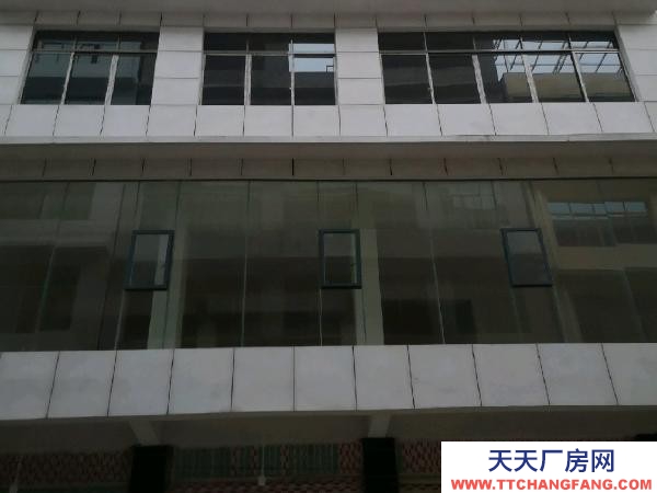 (出租) 一樓100平方.二至5樓120平方.可以單層出租。