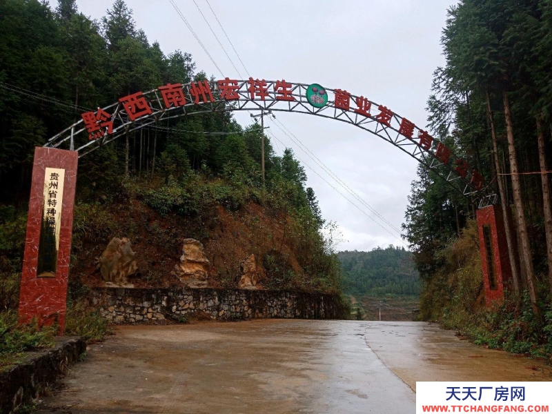 (出租) 本場地可規模養殖牛，農產品加工，房內可建冷庫及食用菌加工房