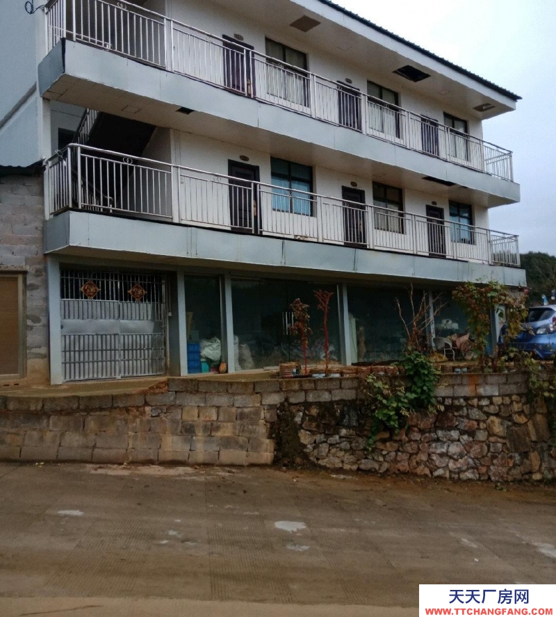 (出租) 本場地可規模養殖牛，農產品加工，房內可建冷庫及食用菌加工房