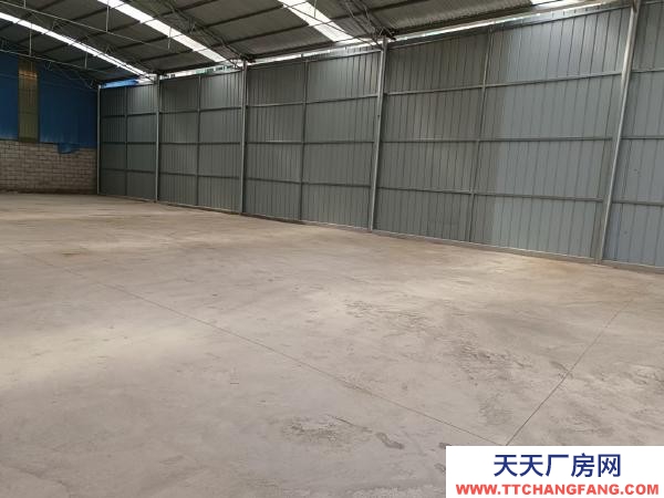 (出租) 1000平450平都有，有需要的聯系