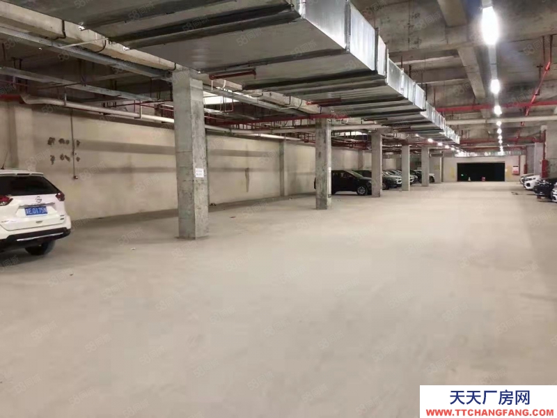 (出租) D9 187 8503 3238臺庫平庫庫房出租配套設施齊全