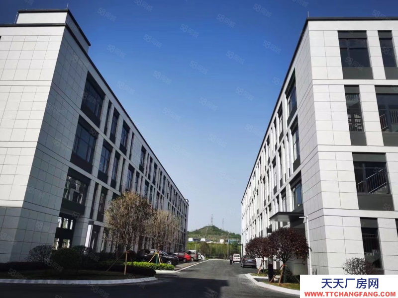 (出售) （首層8.1米）標準結構廠房出售 有產權，可定制