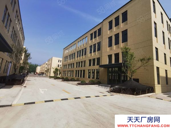 (出售) 標(biāo)準(zhǔn)工業(yè)廠房出售,層高8.1米