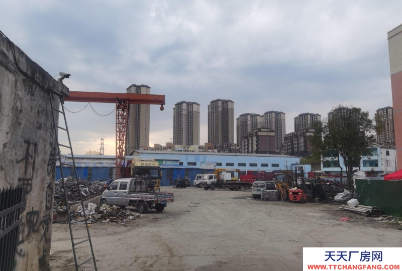 (出租) 租廠房，住房可免費提供，門面出租。