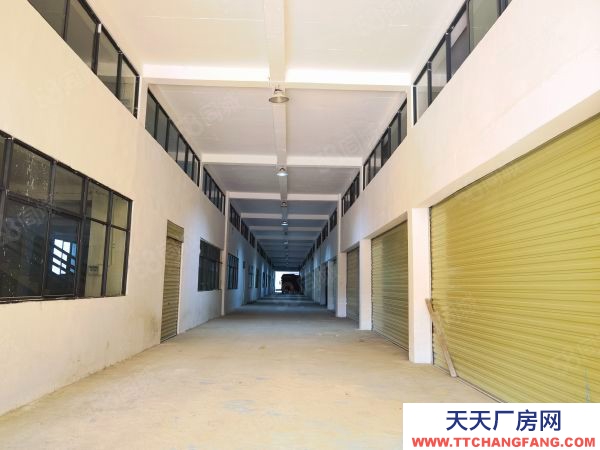 (出租) 金關鋼材市場數博大道旁3000平方自有倉庫廠房出租