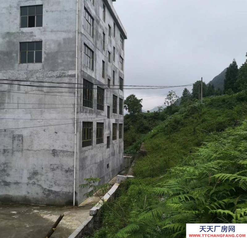 (出售) 一棟6層樓，現在 180萬元起出售