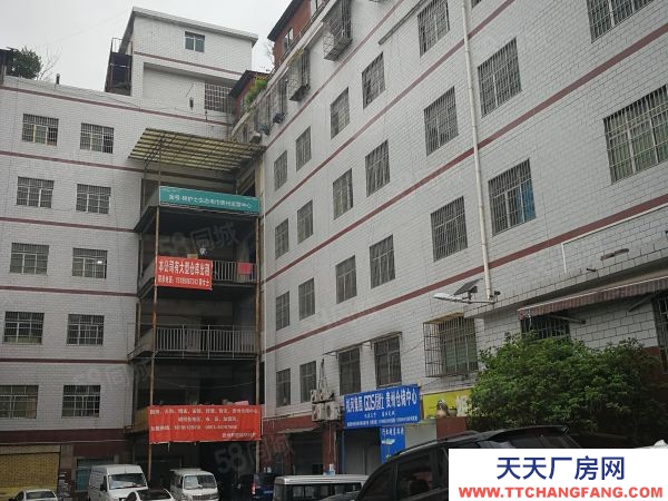 (出租) 數博大道旁金伍路65號一樓540平，420平.370平招租