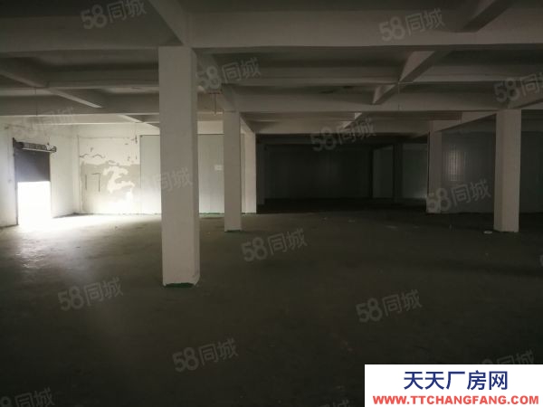 (出租) 數博大道旁金伍路65號一樓540平，420平.370平招租